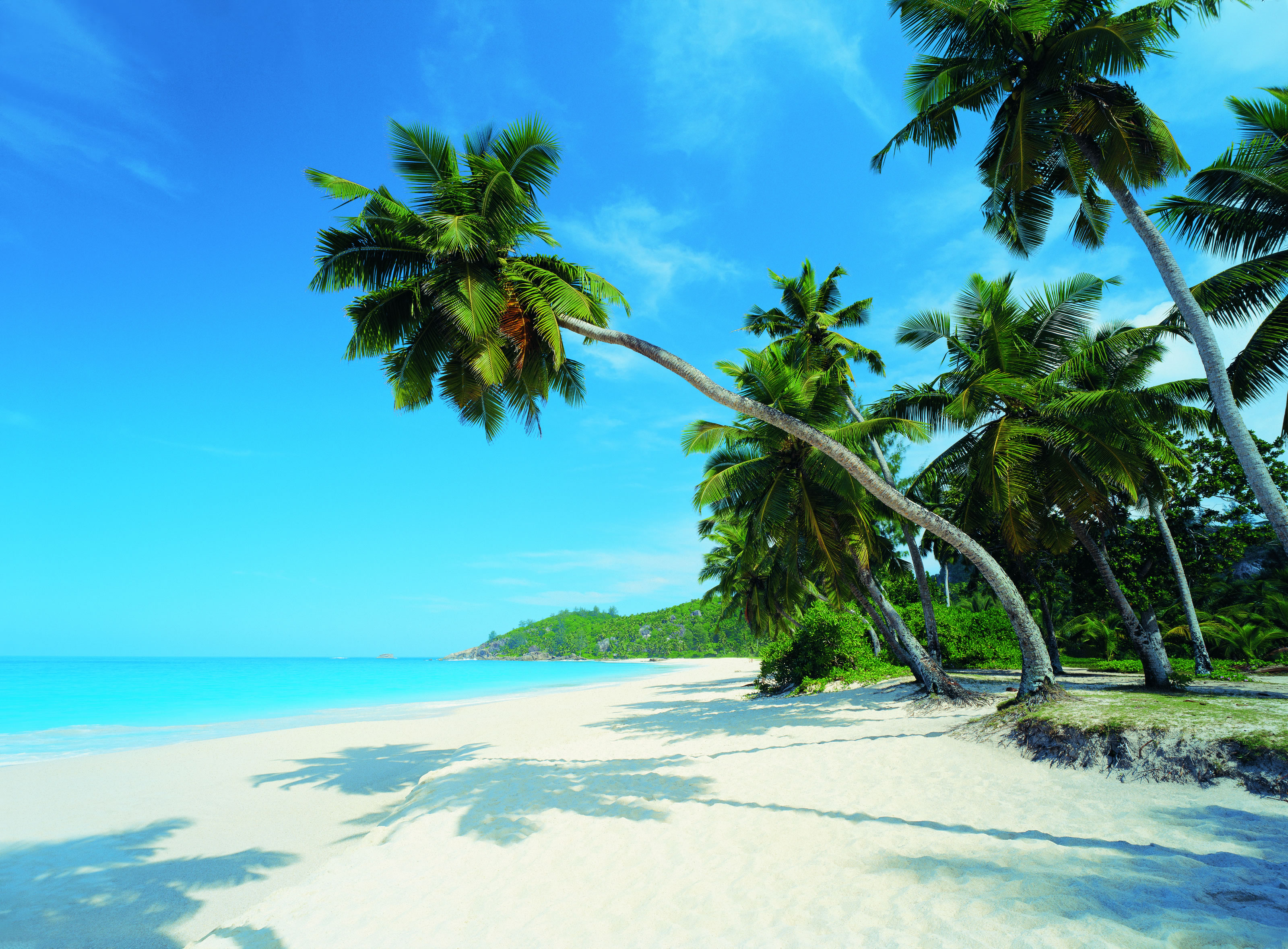 How to Calculate the Loss and Profit - Traders-Paradise